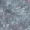 G97915 Silver Sparkles swatch